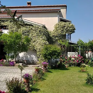 Sasa - Pets Friendly! Porec